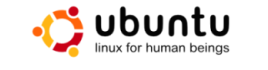 The Best Linux Edition