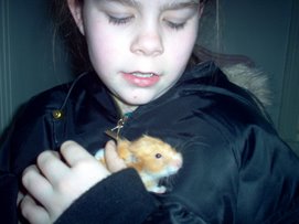 My cute hamster