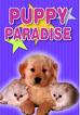 Puppy paradise
