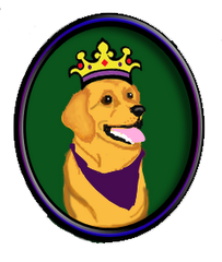 King Solomon, our gourmet pup