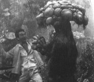 Attack of the Mushroom People (2007?)