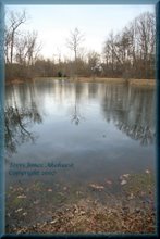 The Pond at Robert Copenhaver Park