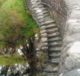 steps from elian donan