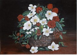 Olii