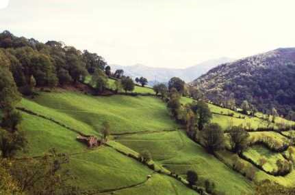 Galicia, montes do Courel