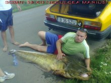 cel mai mare