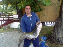 eu cu acelasi somn