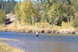 Fisherman on the Truckee River