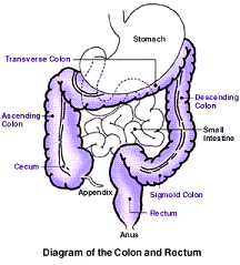 colon cleanse diagram