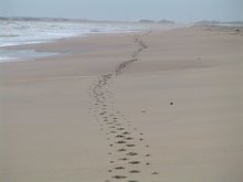 Footprints - Maracaibo Gulf