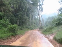 Amazon Road to Santarem