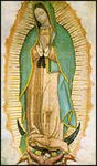 Our Lady of Guadalupe, Patroness of the Unborn
