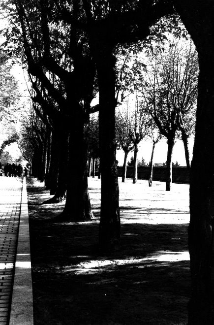El escorial(Madrid)98