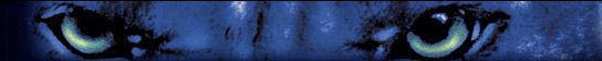 Monte-Live.de - Neues aus meiner Welt -