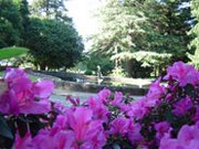 Jardines del Castillo