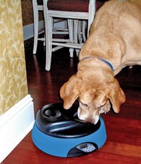 Intelligent Programmable Pet Dish