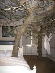 Tree in a bed