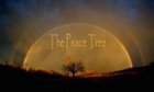 The Peace Tree