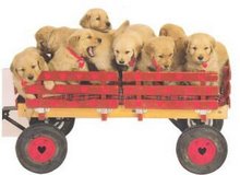 Wagonload of love!!