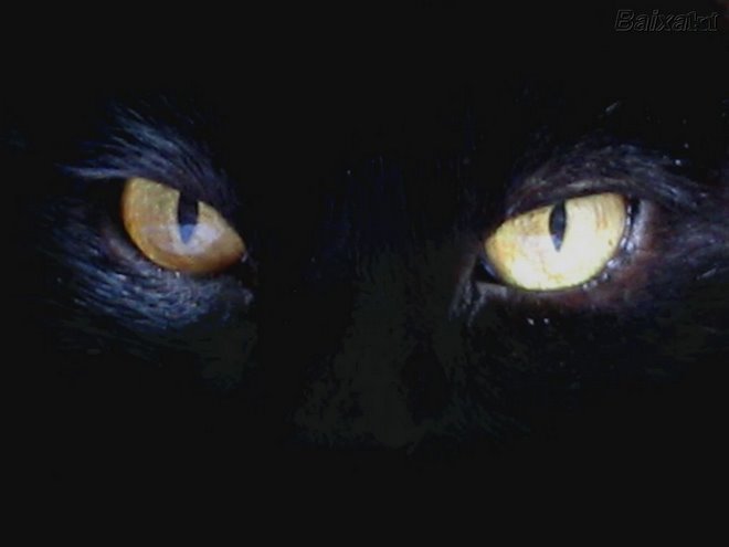 Olhos de Gato