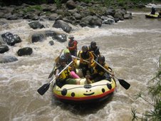 eLLo RaFtinG
