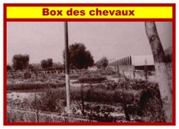 Dommage