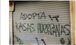 Adopta kasas huérfanas / He adopts orphaned houses