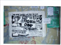 Fashion Chimp-Faile