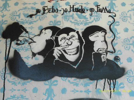 Tres monos / Three monkeys by Coolture