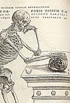 studying anthropology