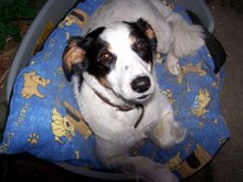 Patch