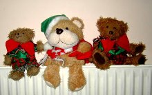 Jim's Bears