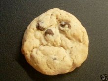 I'm an Angry Cookie!