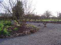 The garden and driveway