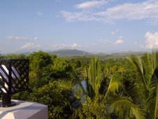 rooftop view of the canopy and the hills