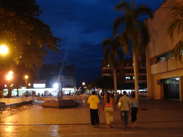 Parque Santander Neiva - Huila