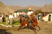 Recreo Campestre BOSQUE DE PIEDRA-Parcona Ica Perú