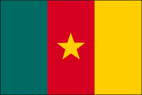 Le drapeau du Cameroun est l'emblème de la  Nation