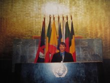 Mr. Lamjav in General Assembly at United Nations