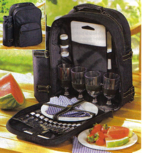 30 Peice Picnic Backpack