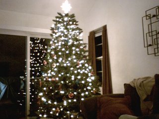 our first christmas tree