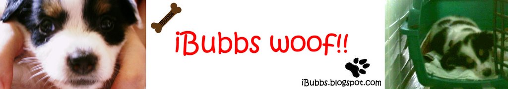 iBubbs woof!