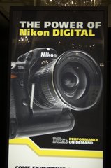 Dedicated Nikon Shooter