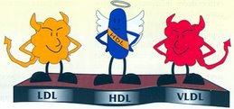 LDH, HDL, VLDL