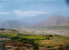 Valle de Chicama