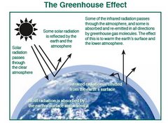 The Greehouse Effects Hawaii...