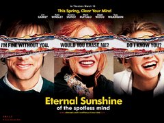 Eternal Sunshine Of The Spotlessmind