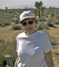 Shirconn in the Mojave Desert