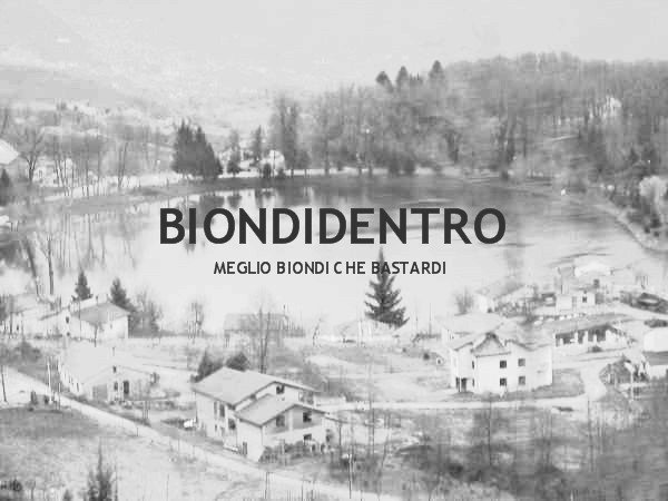 Biondidentro