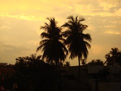 A nice Rajahmundry sunrise